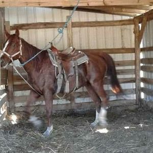 Meet your Posher, Benjamin